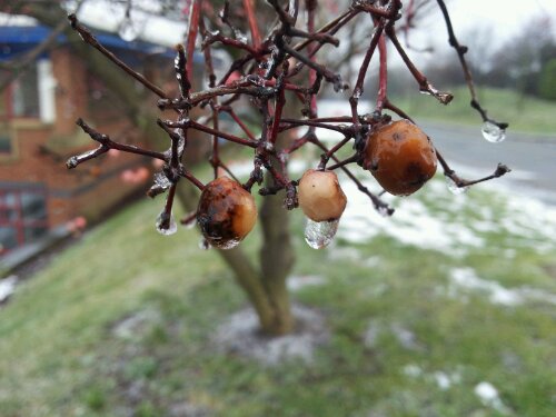 wpid-20120210_122539.jpg